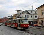 8081